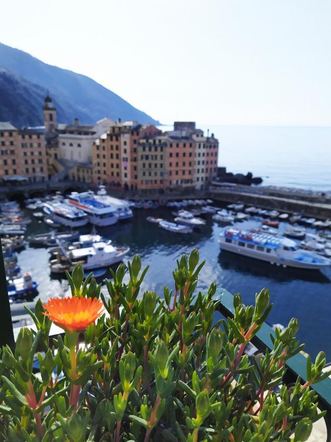 La Mansarda Sul Porto Hotel Camogli Exterior photo