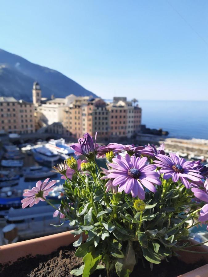 La Mansarda Sul Porto Hotel Camogli Exterior photo